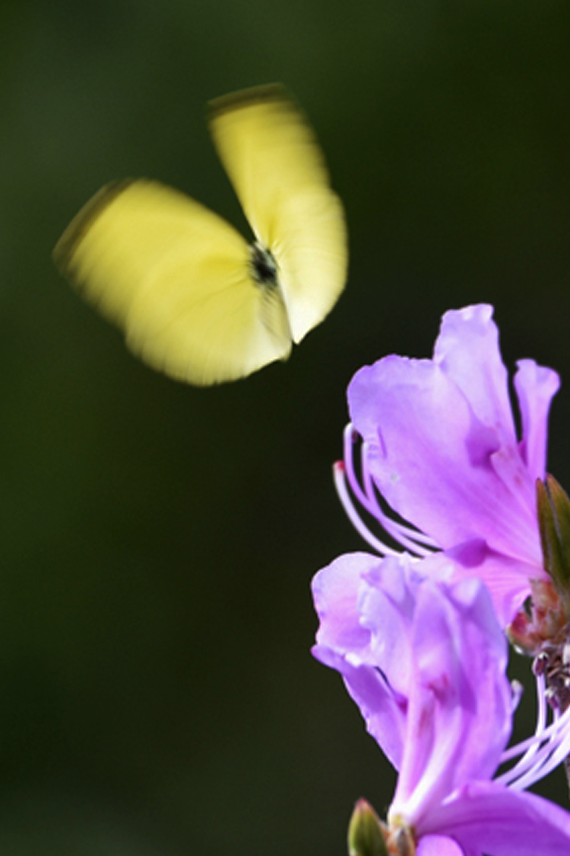 �u���֘A�摜�F�ʐ^����