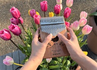 �u���֘A�摜�F���₵�̉��F�@�J�����o���� �i10�F15�`�N���X�j