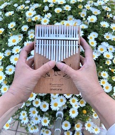 �u���֘A�摜�F���₵�̉��F�@�J�����o���� �i11�F25�`�N���X�j