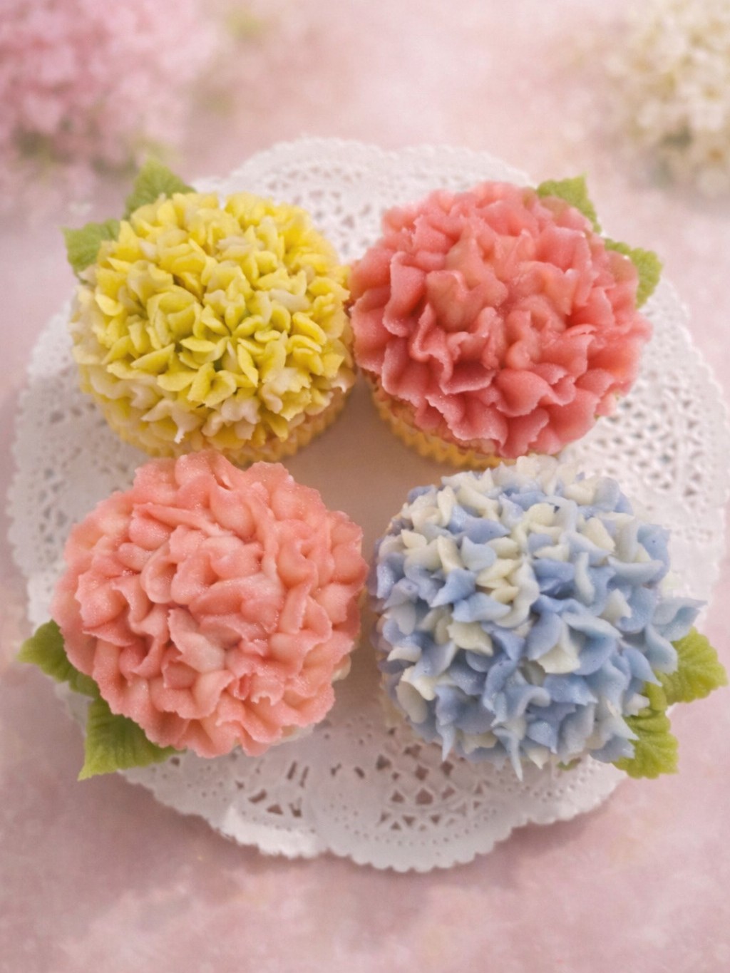 �u���֘A�摜�F�y5/19�z���񂱂̂��ԍi��