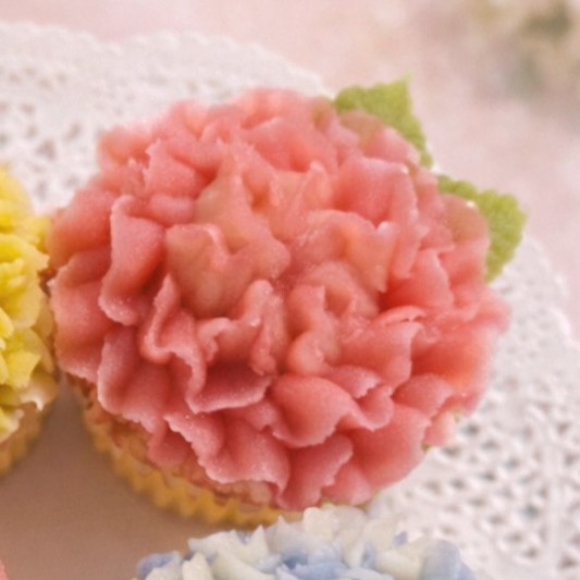 �u���֘A�摜�F�y5/19�z���񂱂̂��ԍi��