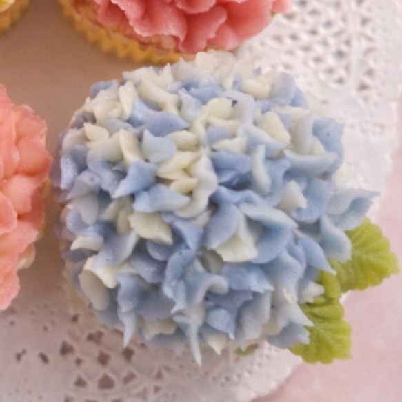 �u���֘A�摜�F�y5/19�z���񂱂̂��ԍi��