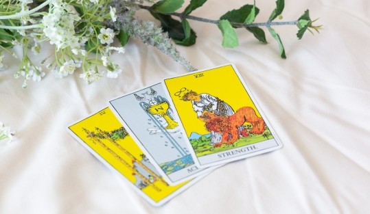 �u���֘A�摜�F��������Ȃ�����@�^���b�g�J�[�h