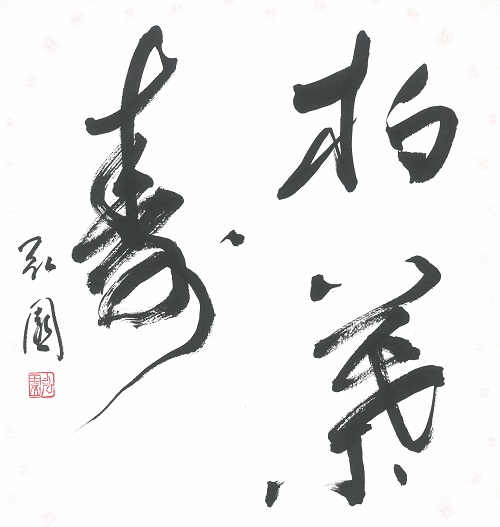 u֘A摜F炵̏