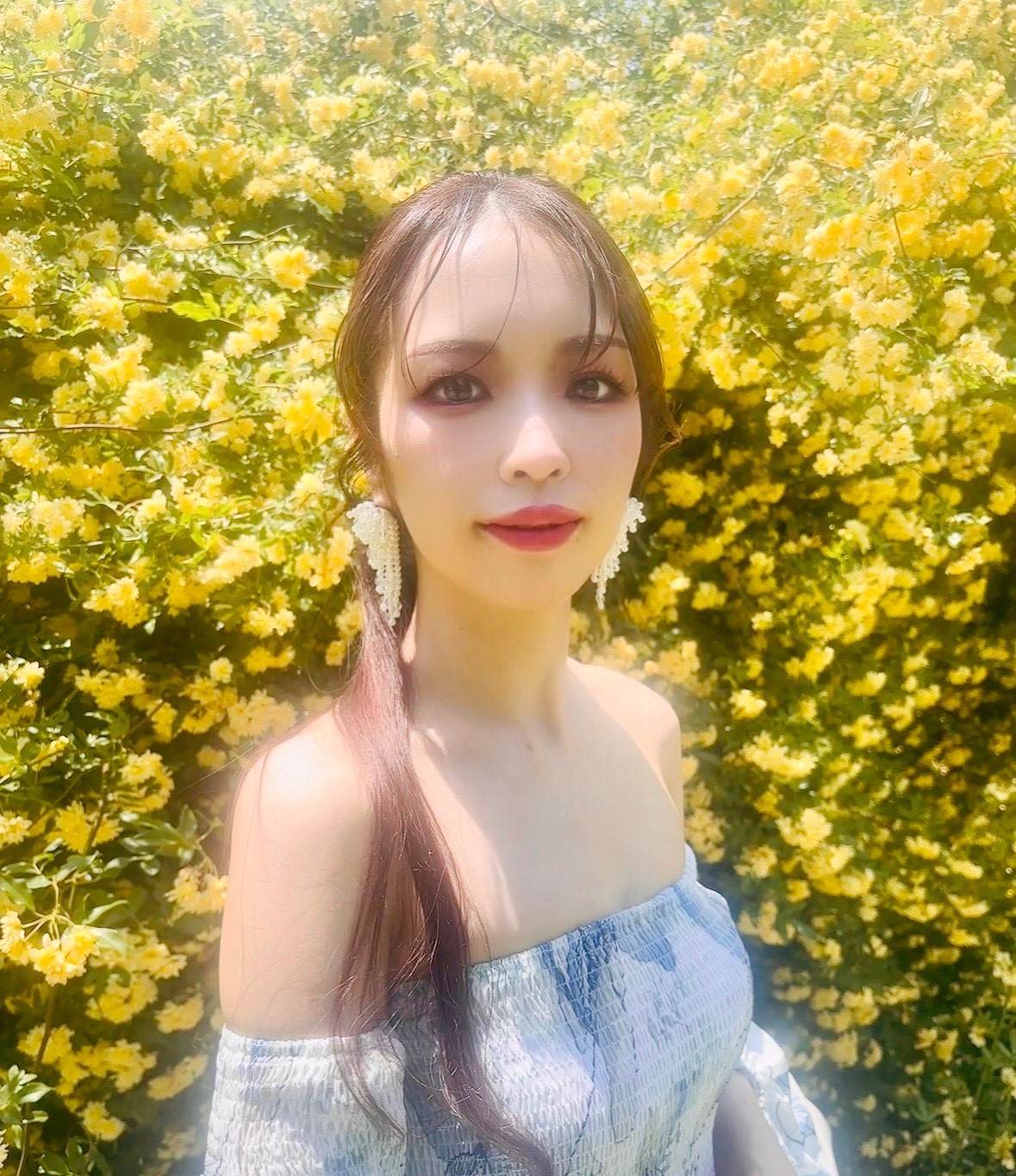 u֘A摜Fp[\iJ[ff