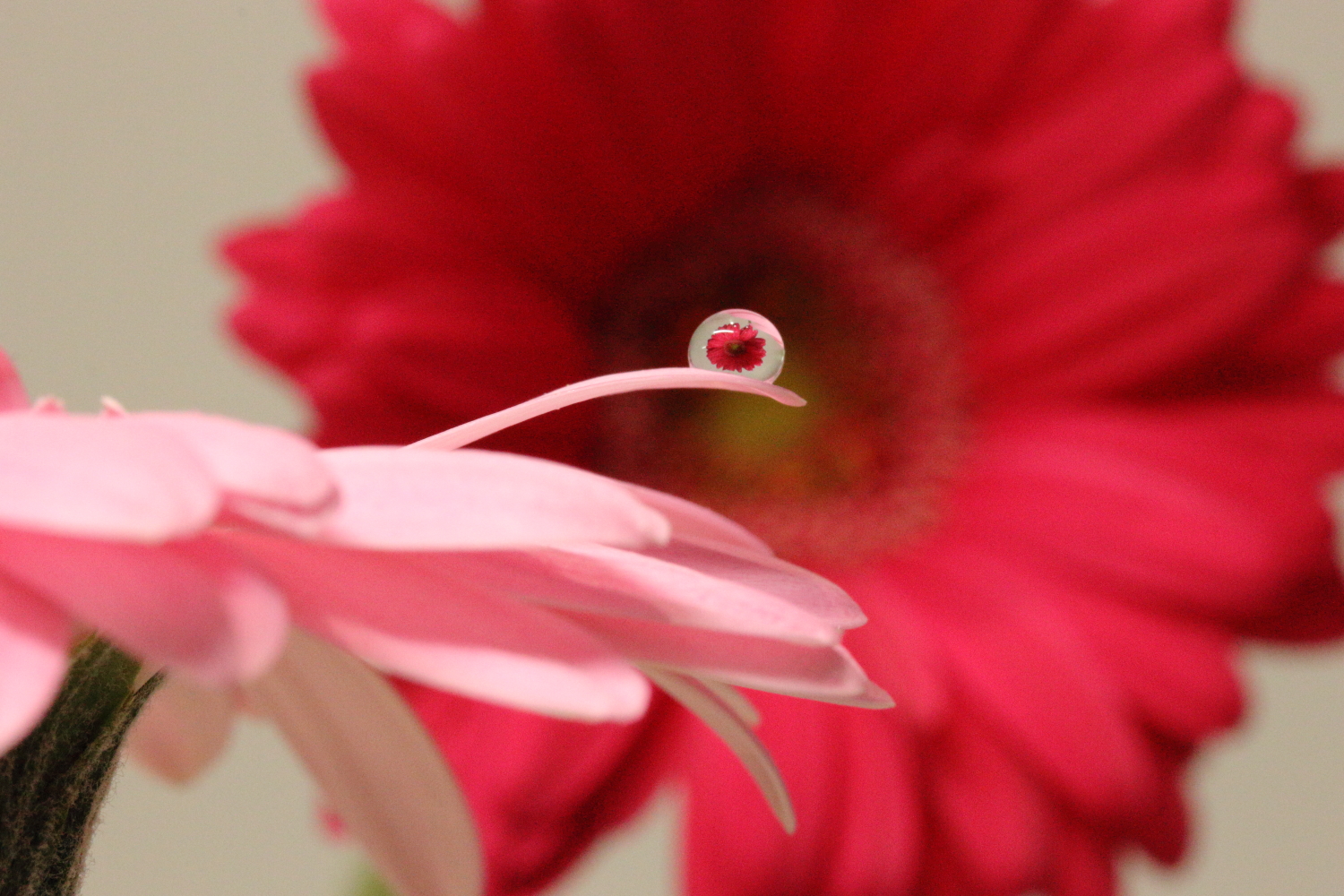 u֘A摜FJUy