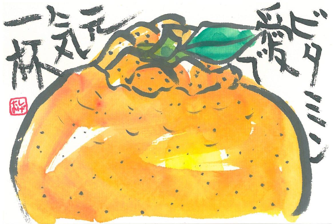 u֘A摜FS`G莆