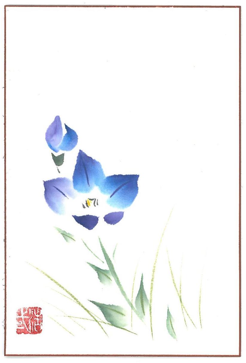 u֘A摜FyG莆