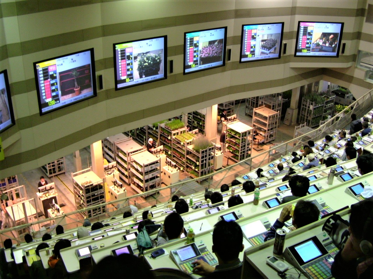 �u���֘A�摜�F�y���ł����Z�~�i�[�z6/1 ��l�̎Љ�w�@�L���Ԃ��s��