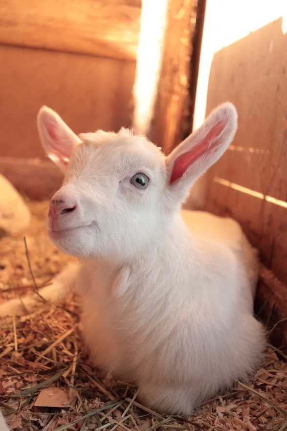 u֘A摜F჌tX}z܂Ł@Jqy