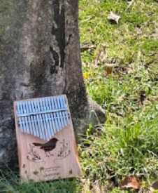 �u���֘A�摜�F���₵�̉��F�@�J�����o