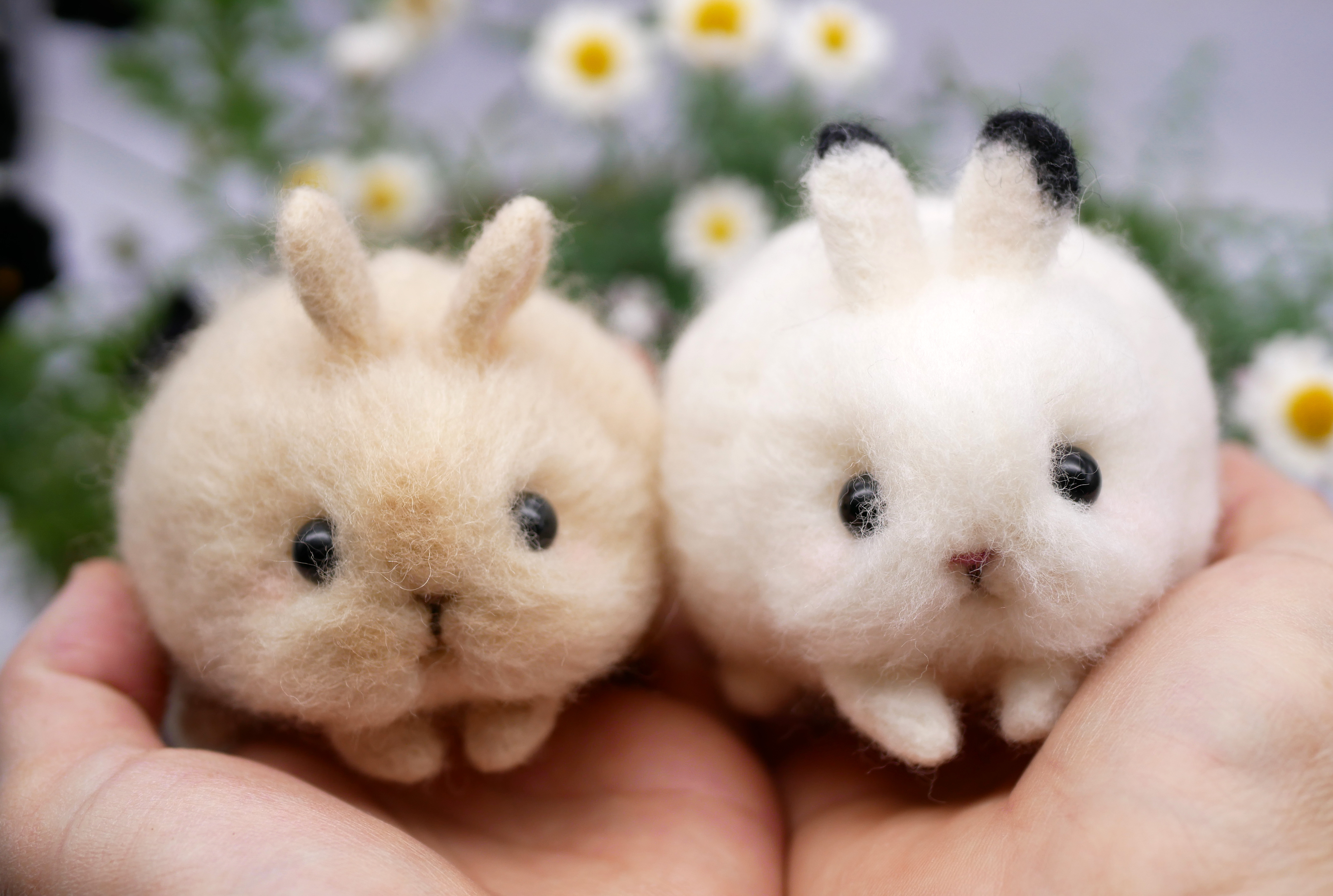 3/29 羊毛で作る☆ふわふわ赤ちゃんうさぎ｜講座紹介｜南大高中日文化