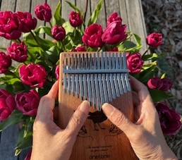 �u���֘A�摜�F���₵�̉��F�@�J�����o