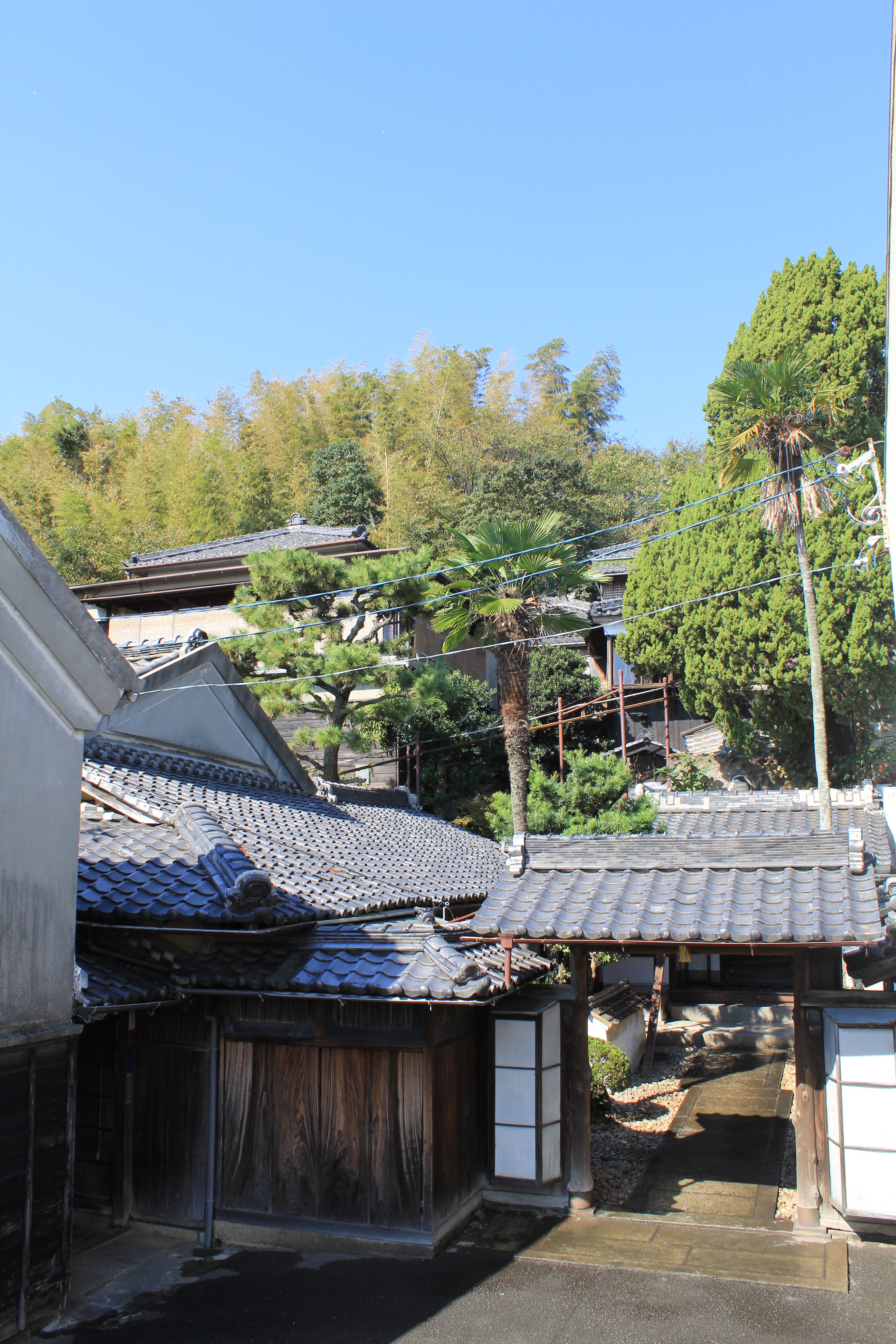 �u���֘A�摜�F�y���ł����Z�~�i�[�z5/3���l�X�R���`������Y�@�T�蒪���Ղ�K�˂�