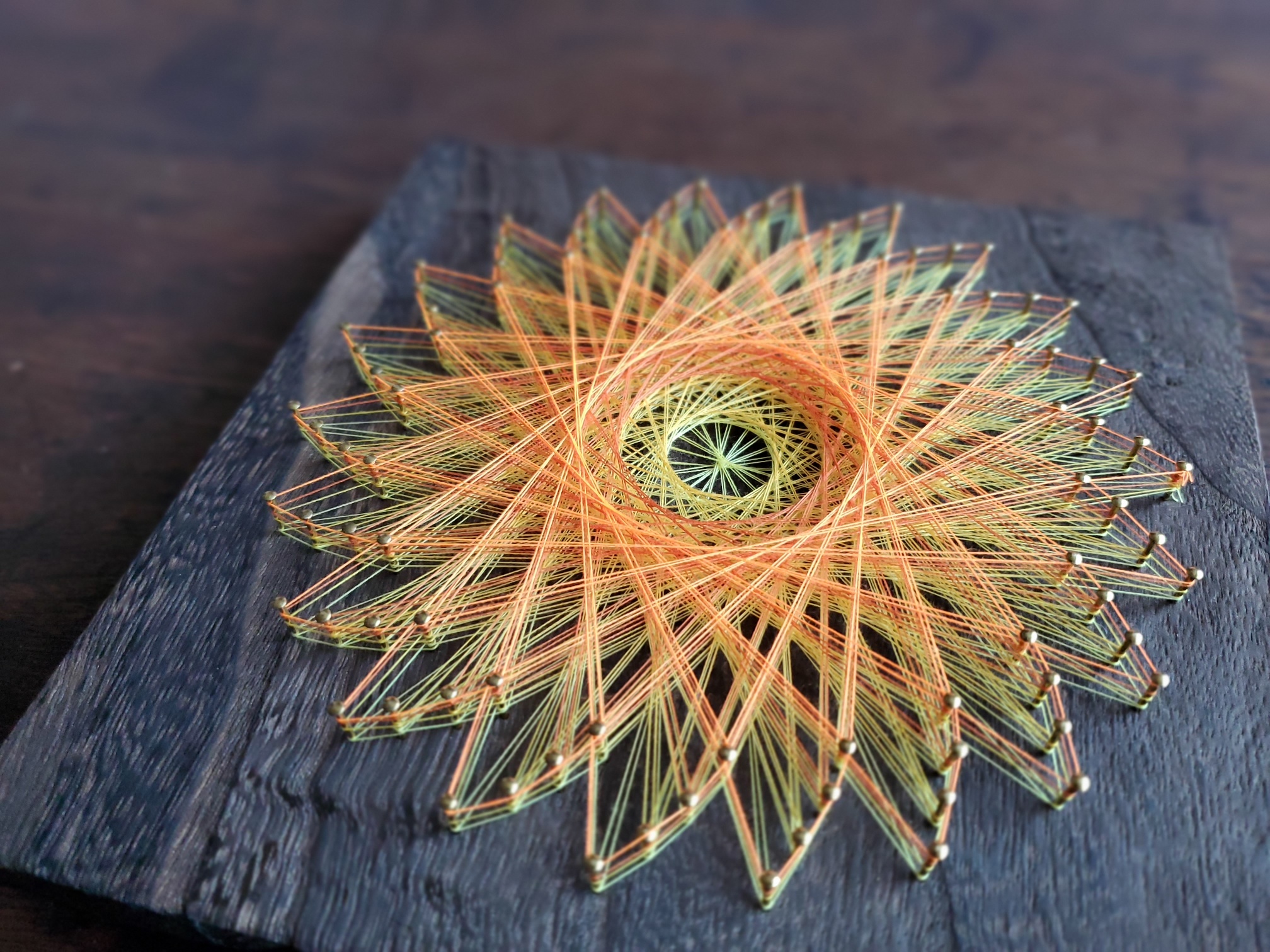 �u���֘A�摜�F5/17�@�������ł��� ���z�̉�