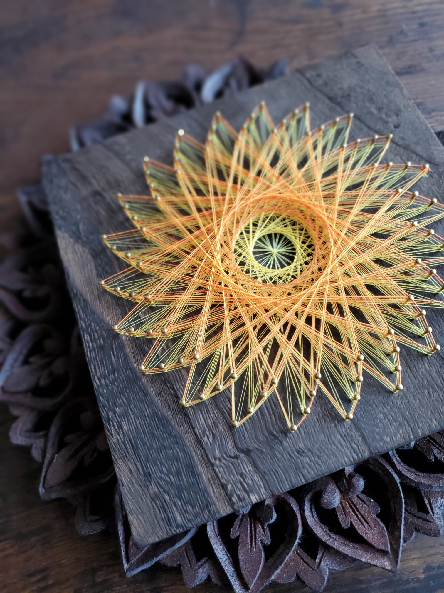 �u���֘A�摜�F5/17�@�������ł��� ���z�̉�