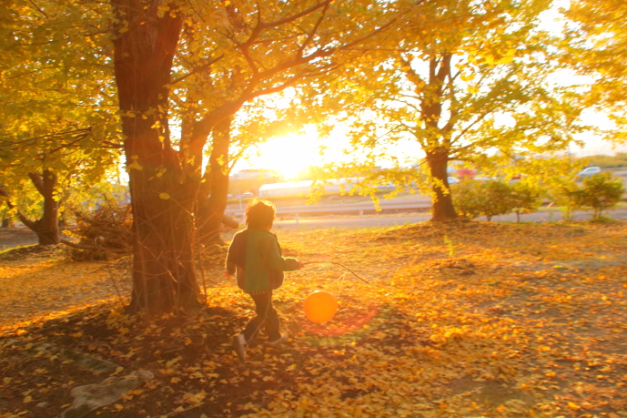 �u���֘A�摜�F��჌�t����X�}�z�܂Ł@�J�������q���y������