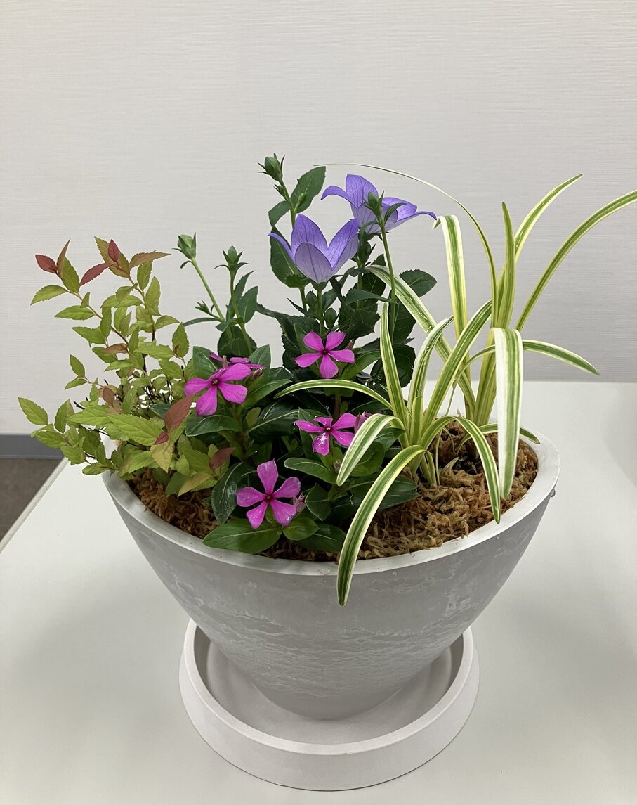 �u���֘A�摜�F�y���ł����Z�~�i�[�z6/1 ��l�̎Љ�w�@�L���Ԃ��s��