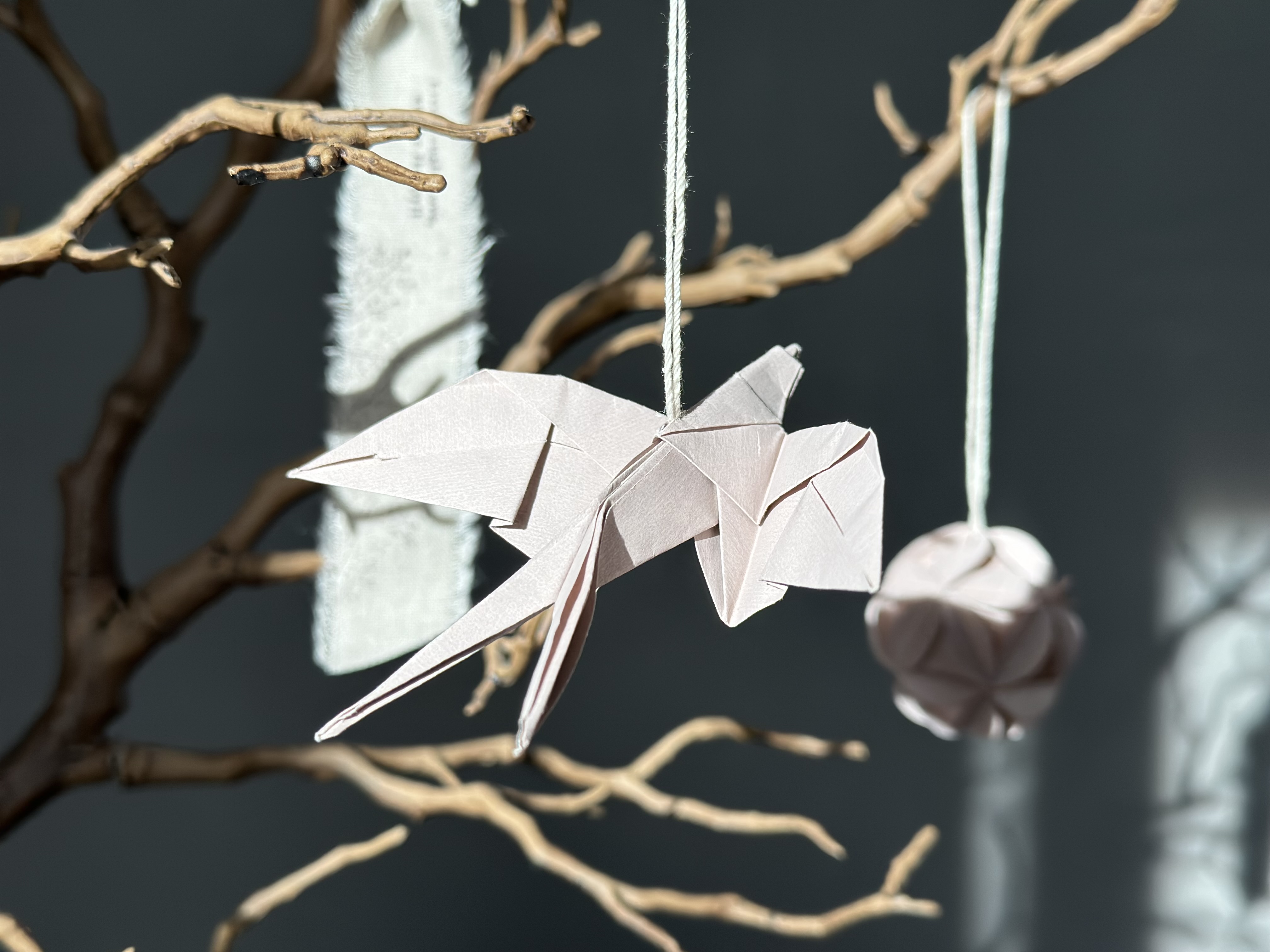 �u���֘A�摜�F���킢���I�����H�싳��