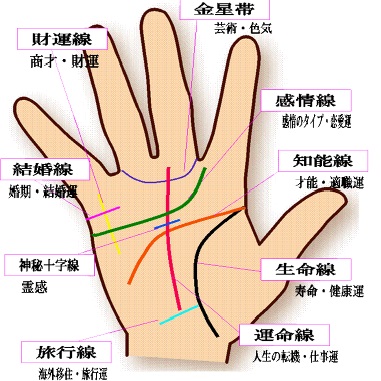 �u���֘A�摜�F�葊�Ō����鎄�炵��������