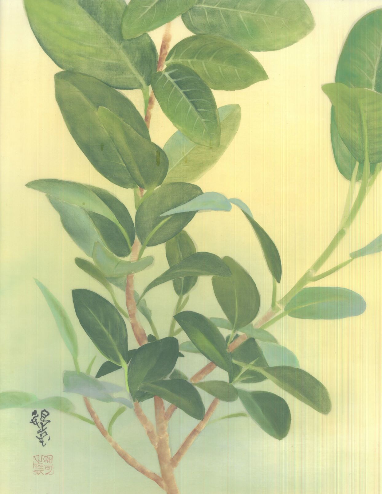 u֘A摜F{