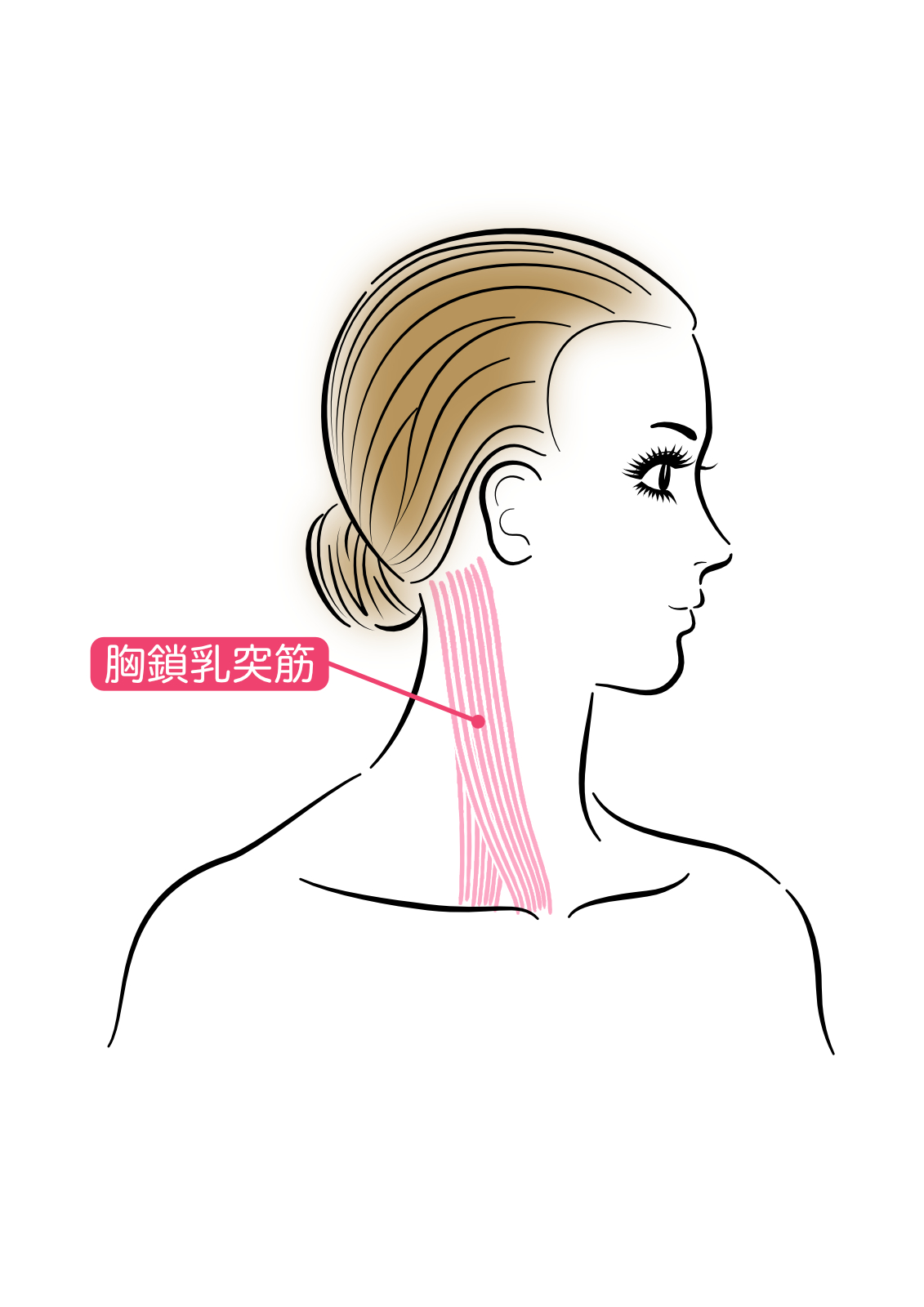 �u���֘A�摜�F�y7/4�z�Z���t�����p�}�b�T�[�W�@���������聄