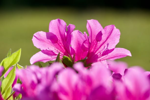 u֘A摜FSW@fW^჌tu@oҁ