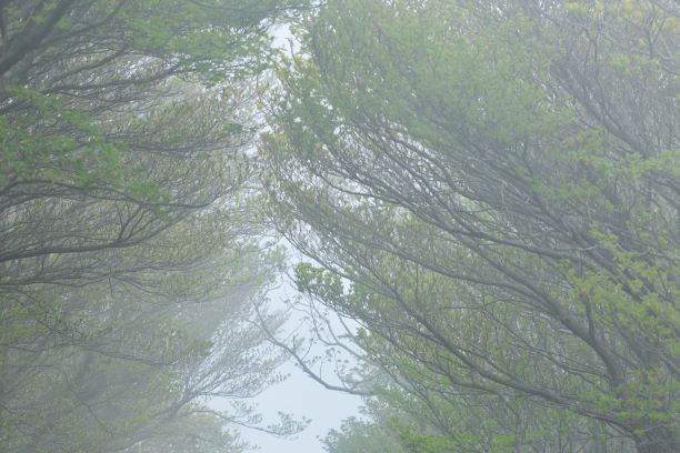 u֘A摜FSW@fW^჌tu@oҁ