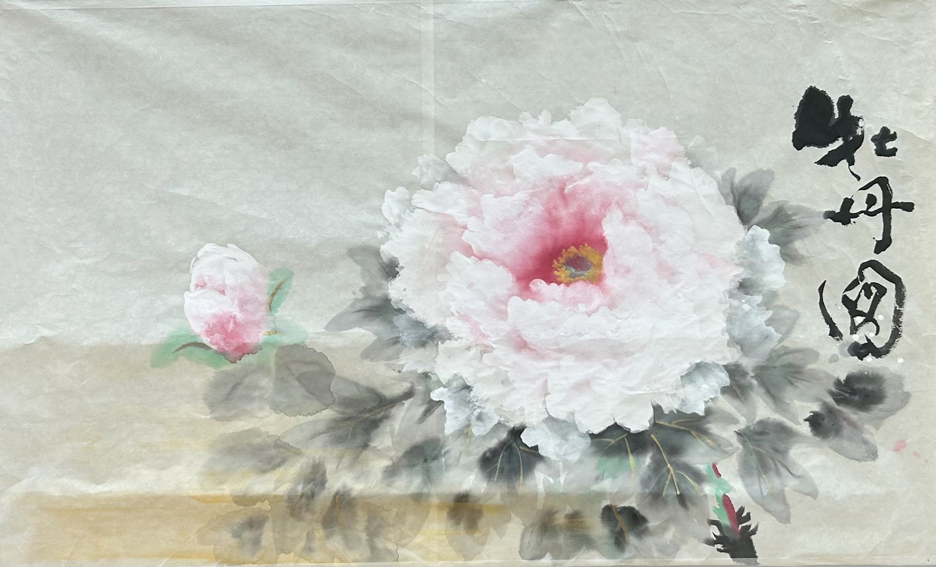 u֘A摜F{
