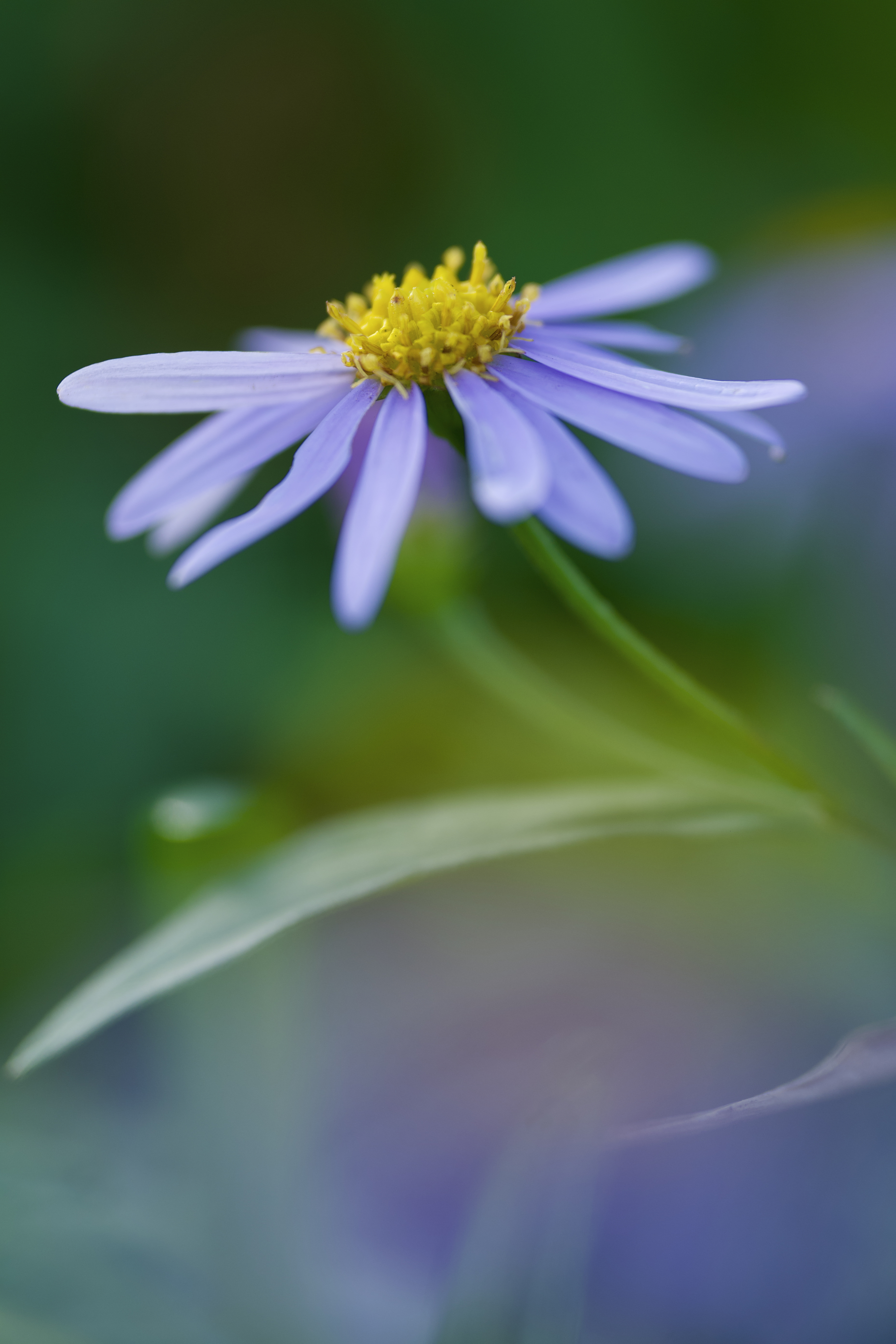 u֘A摜F10W@fW^჌tu@偄
