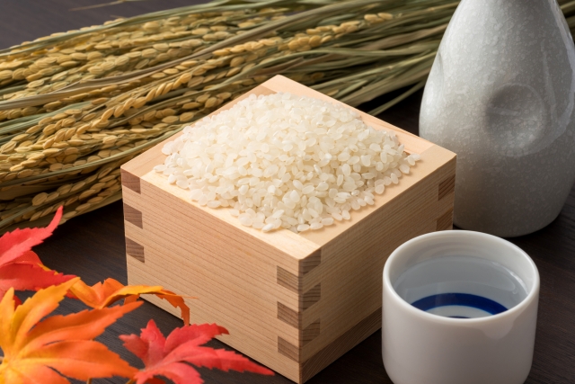 u֘A摜F10W@{̊yݕ