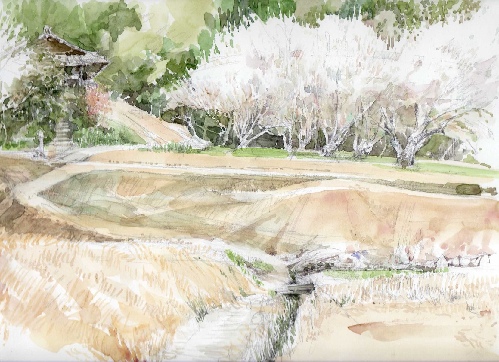 u֘A摜Fʉ