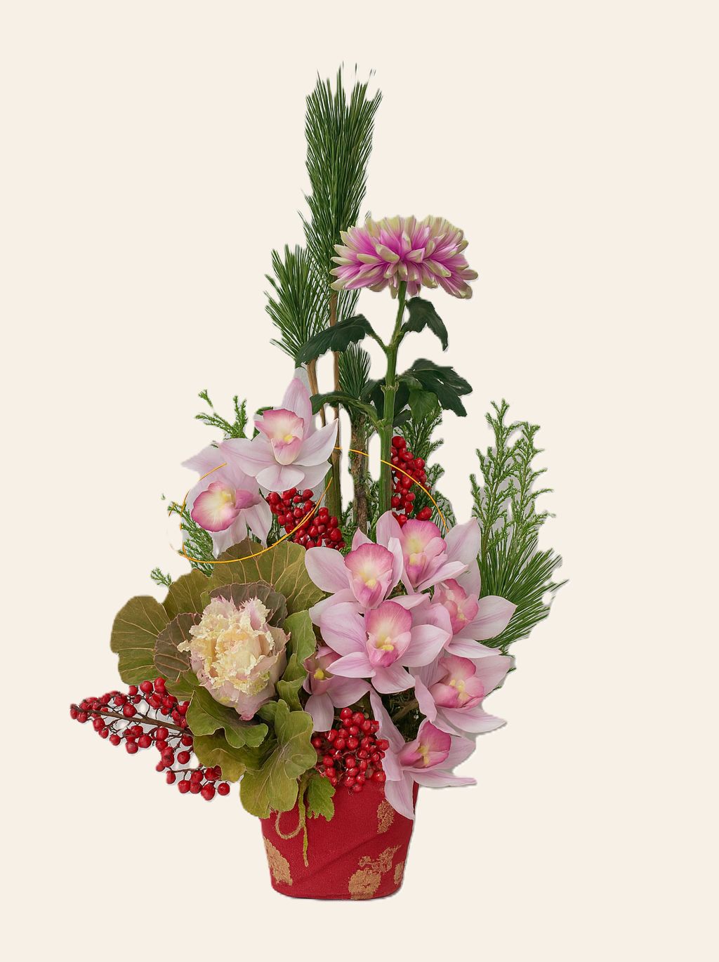 u֘A摜Fy12/28zVN}鉏N