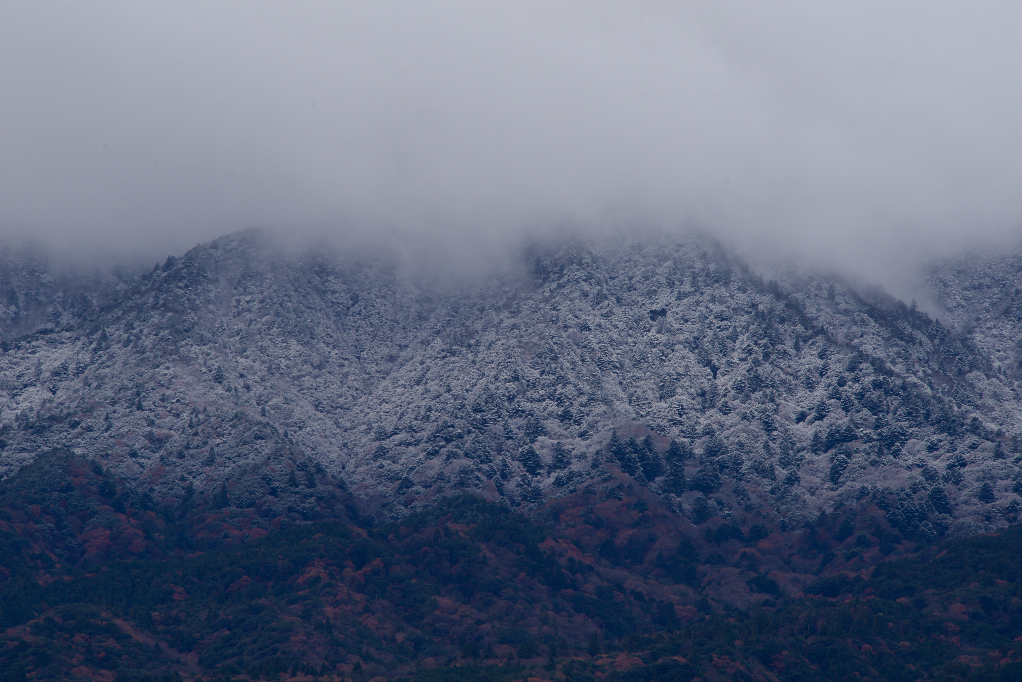 u֘A摜FfW^჌tu@偄