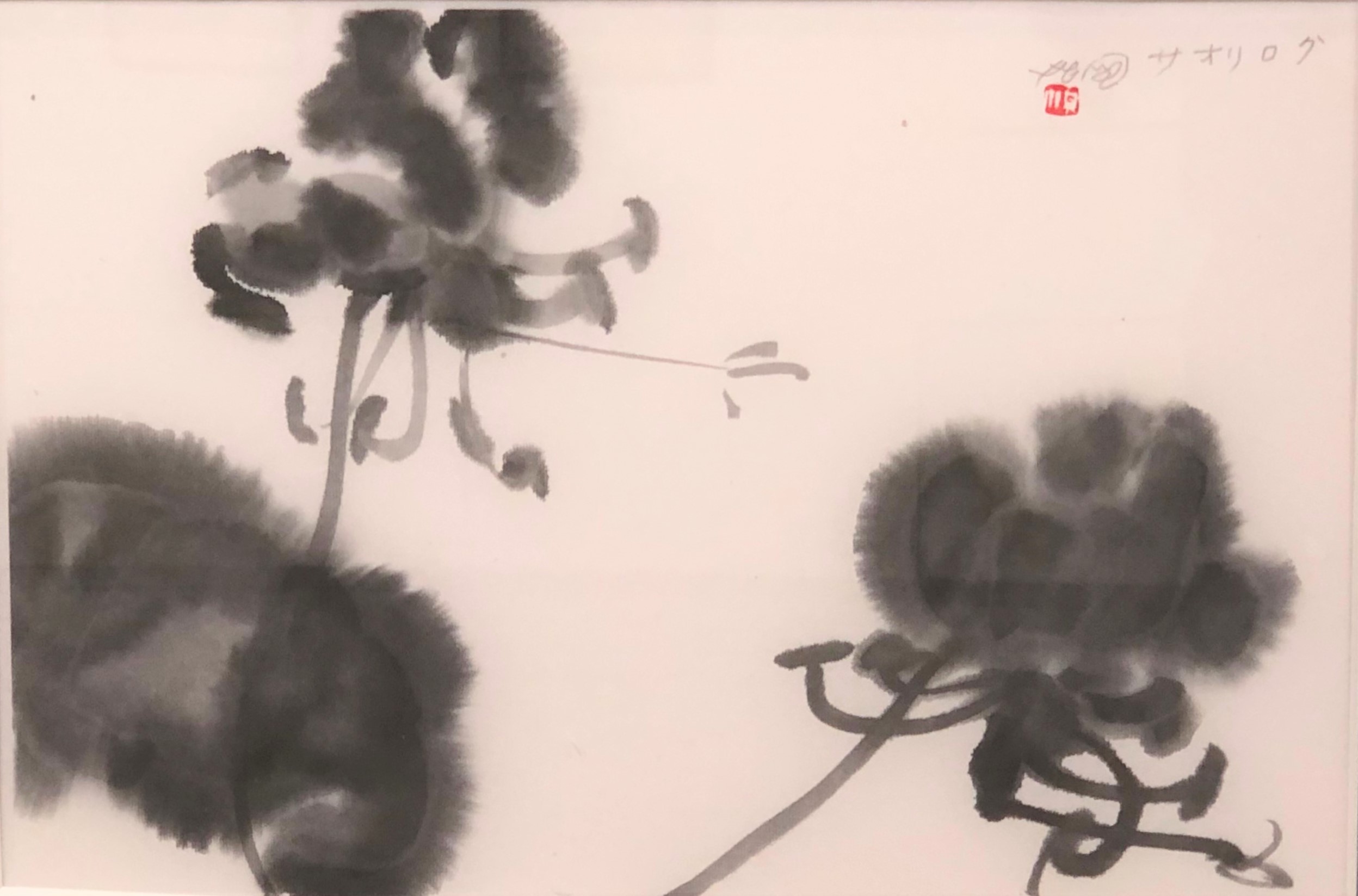 �u���֘A�摜�F�S�̐��n��