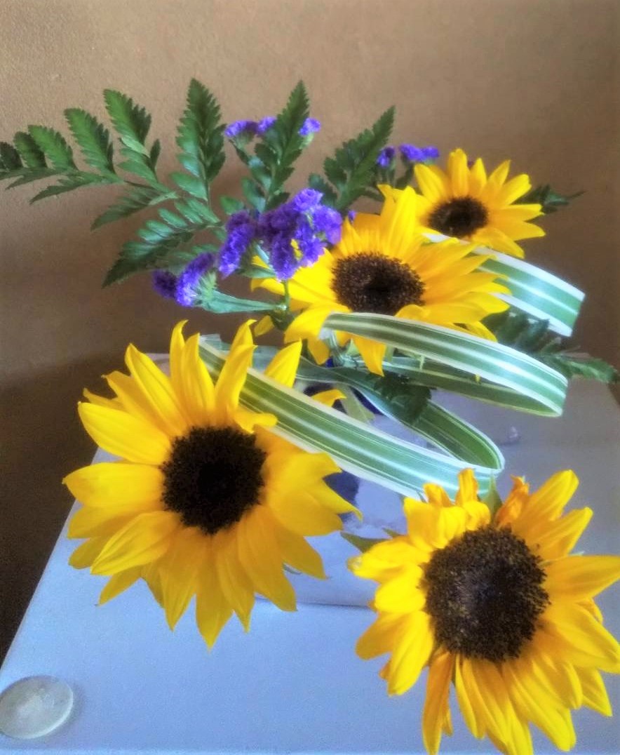 �u���֘A�摜�F�r�V�i���ʉȁE�����ȁj