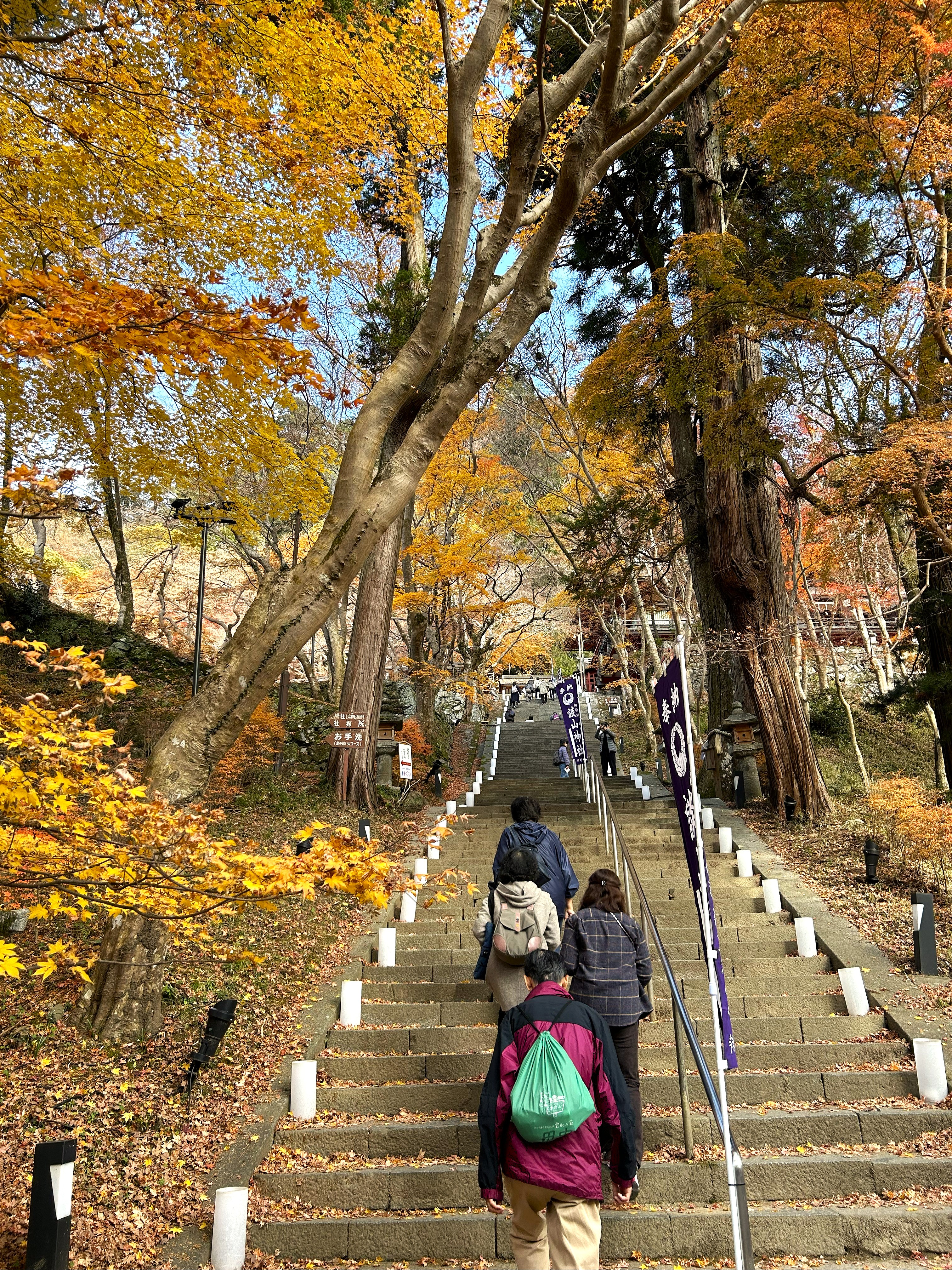 �u���֘A�摜�F�Ñ�̕��w���j�U��