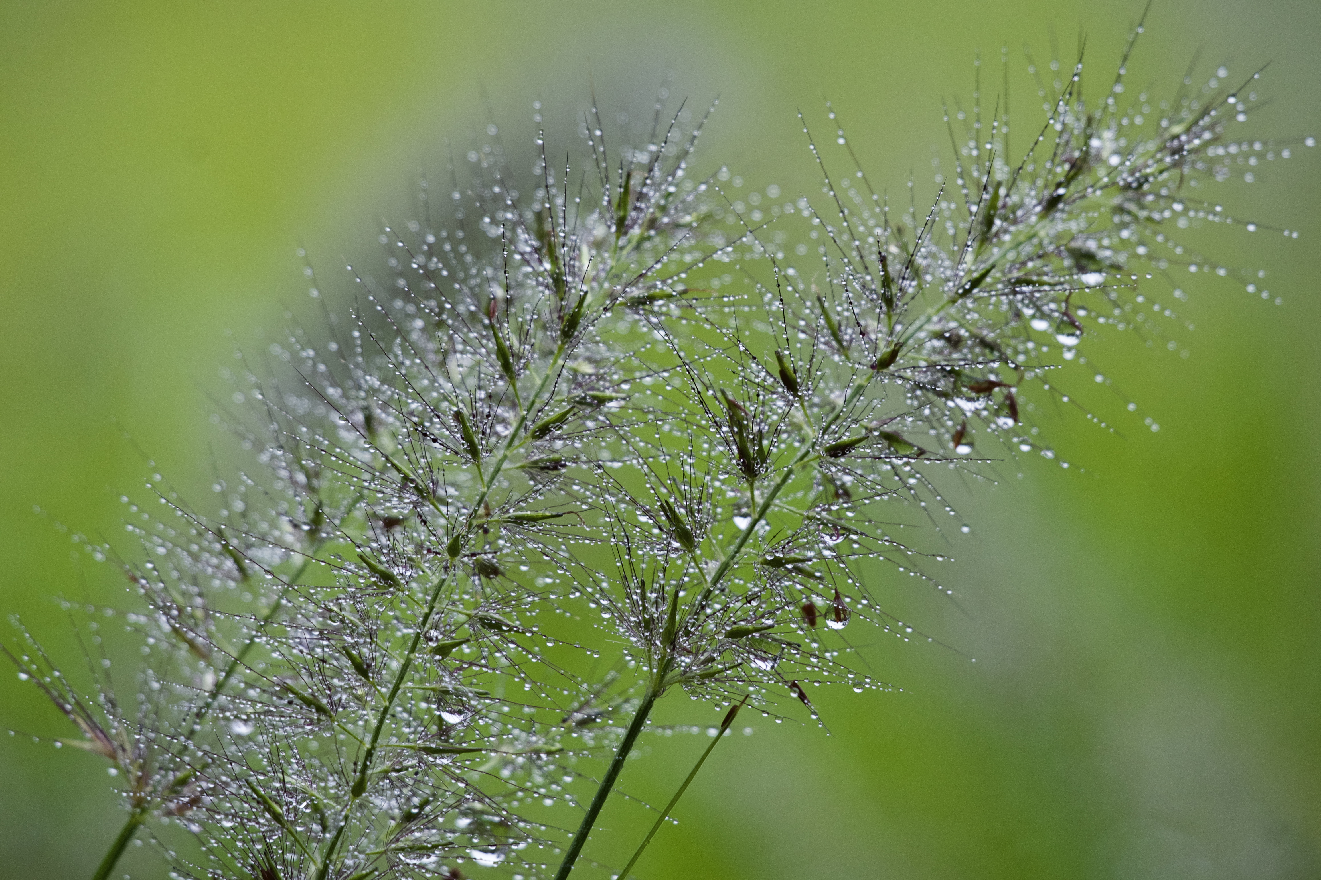 �u���֘A�摜�F4������W�@�f�W�^�����J�����u���@�����偄