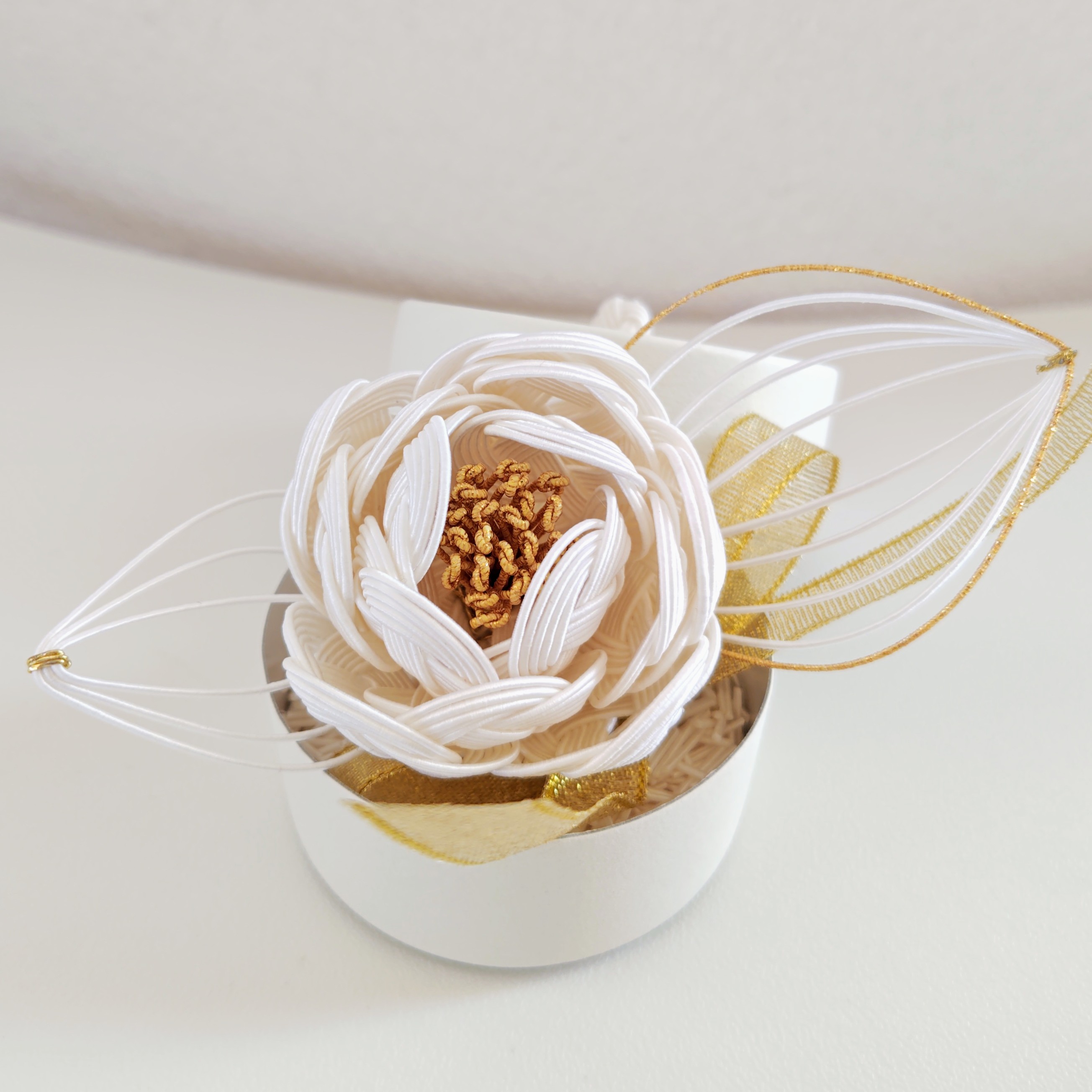 �u���֘A�摜�F4������W�@���� �ނ��яm