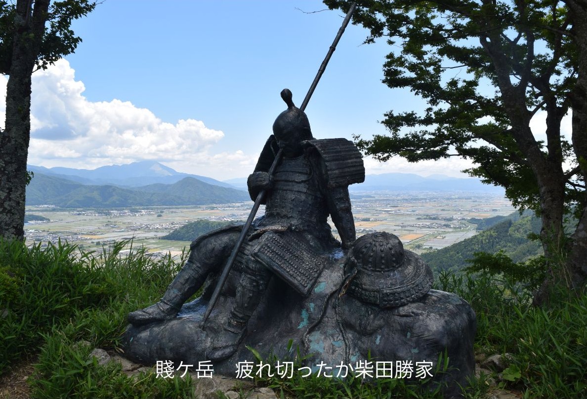 �u���֘A�摜�F�L�b�G�g�`�b���傩�Z�킩�`