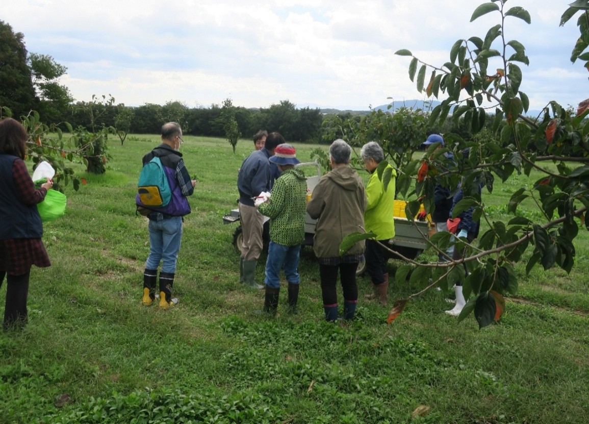 �u���֘A�摜�F4������W�@�O�d��w�t�@�[���E�y�_�u��