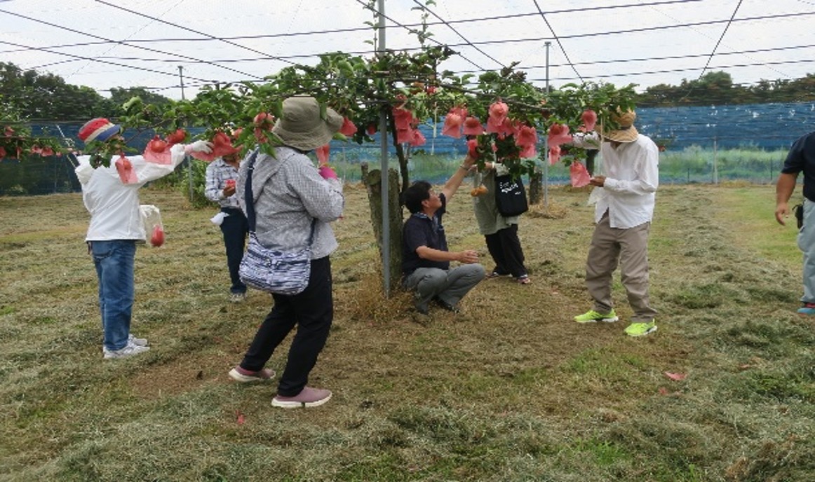 �u���֘A�摜�F4������W�@�O�d��w�t�@�[���E�y�_�u��