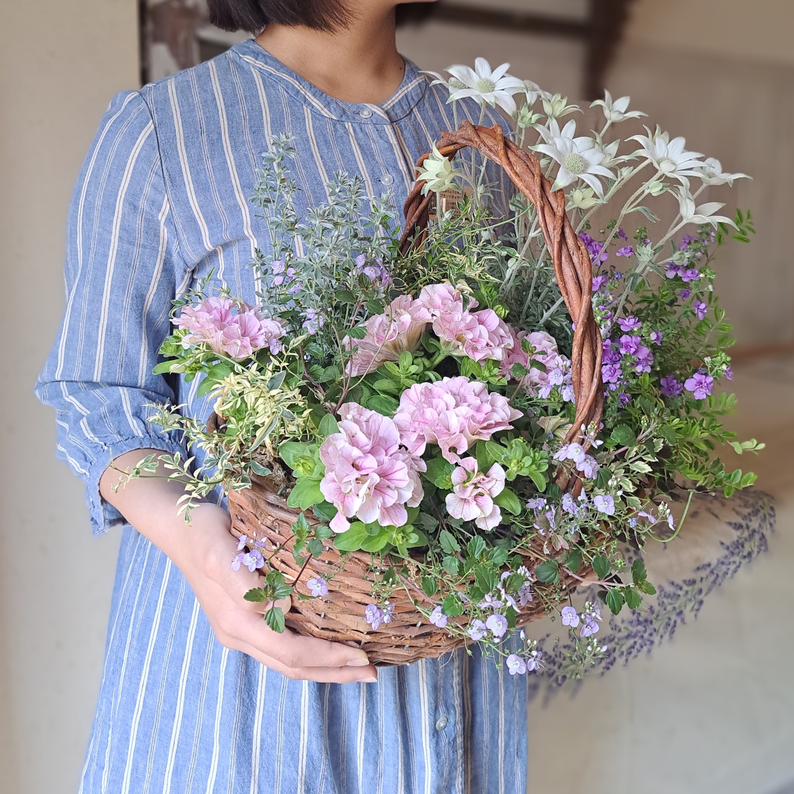 講座関連画像：華やか寄せ植え「プランツギャザリング」