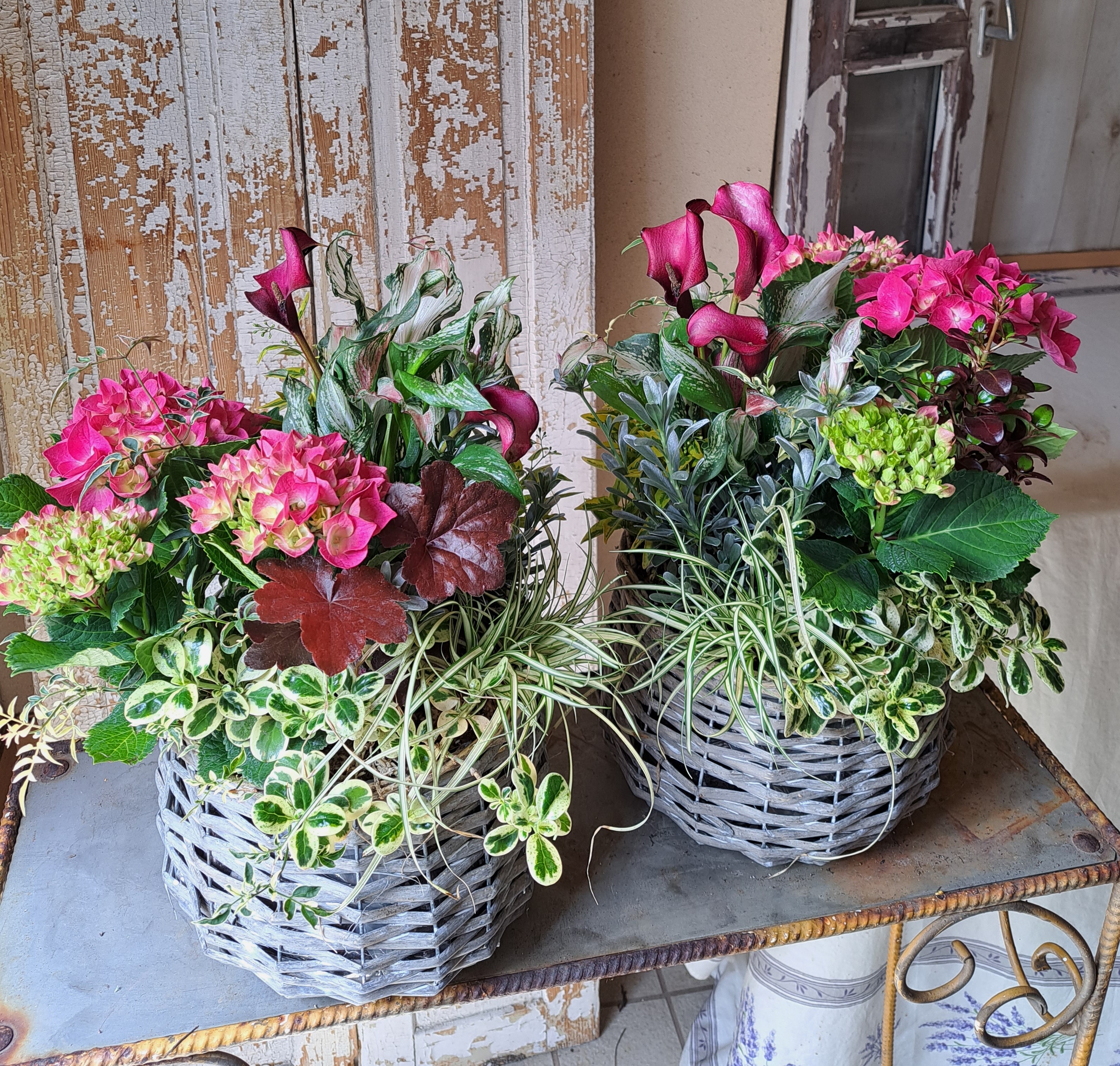 講座関連画像：華やか寄せ植え「プランツギャザリング」