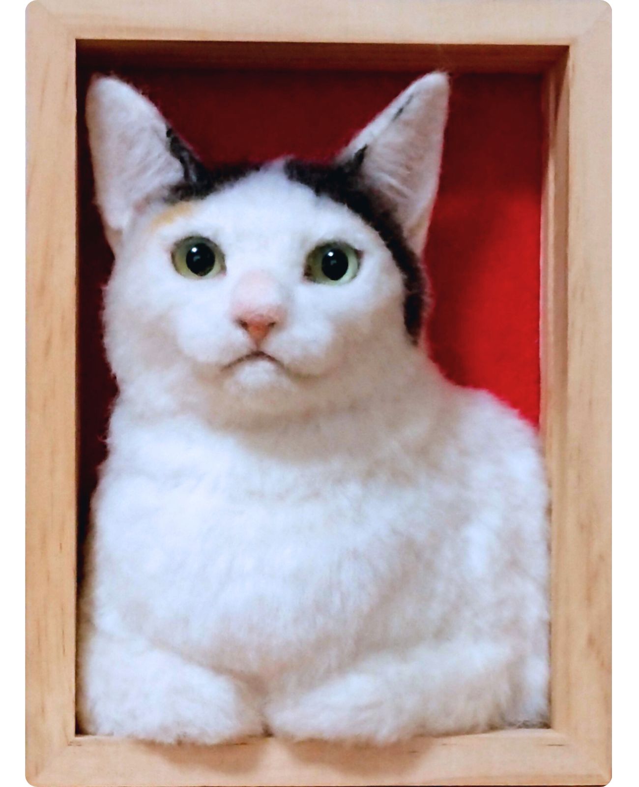 u֘A摜FrуtFgňL낤