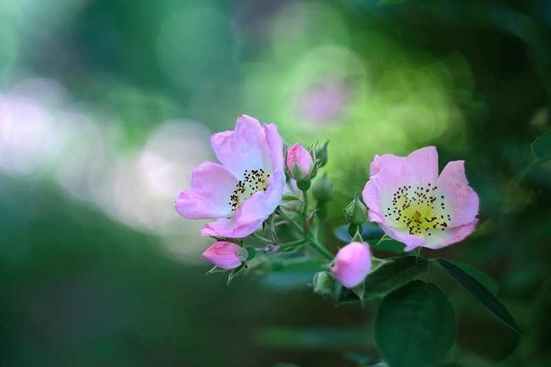 u֘A摜FfWtHgy