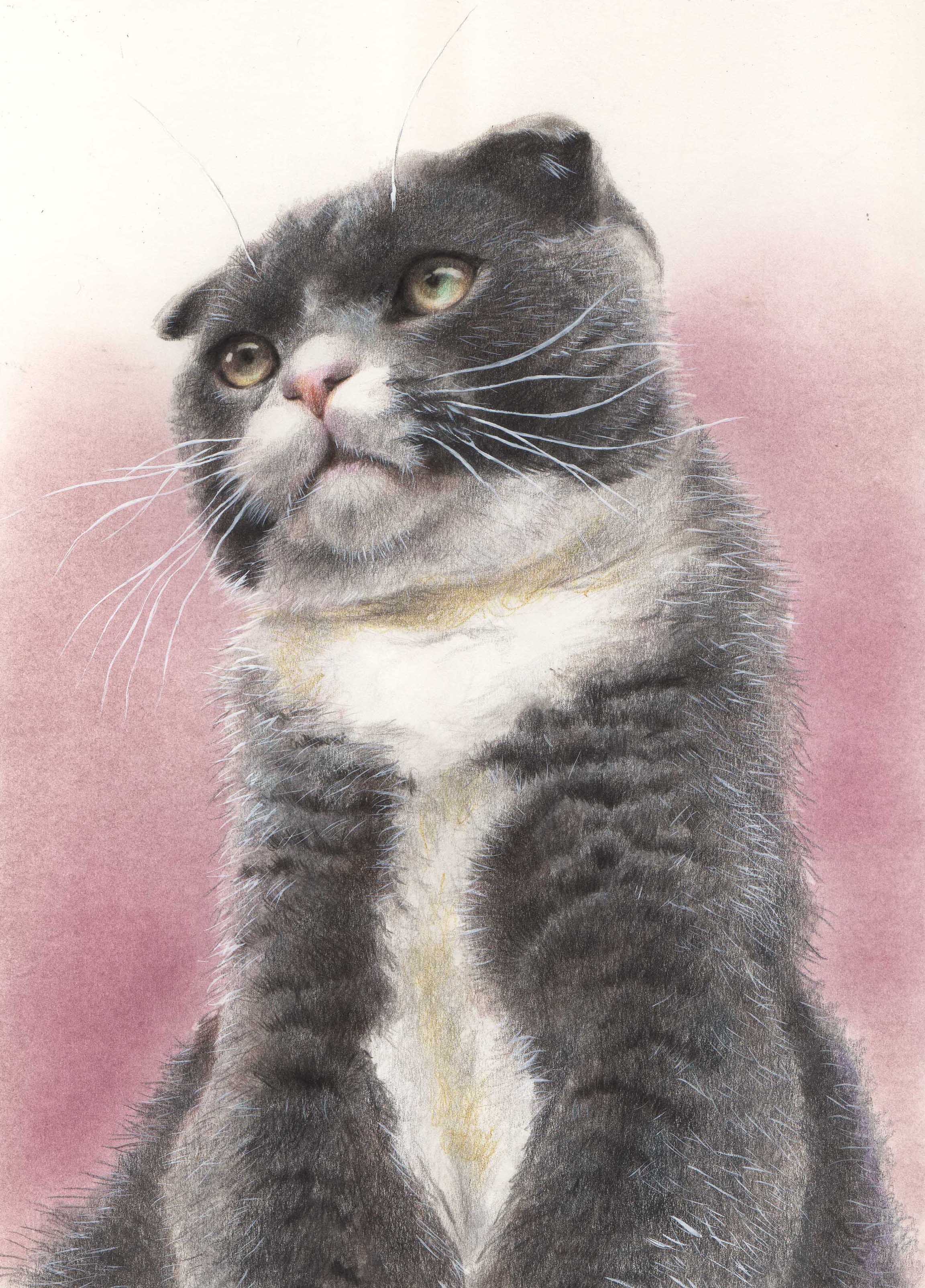 u֘A摜FF҂Ńtt̔L`Ă݂悤