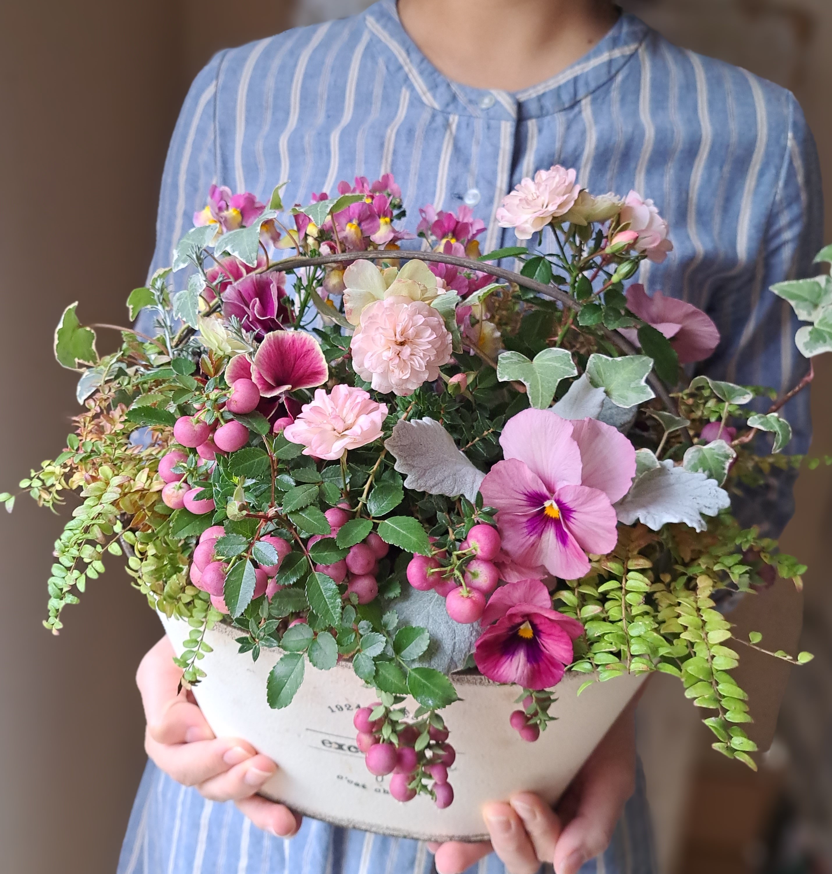 u֘A摜F؂₩񂹐AuvcMUOv