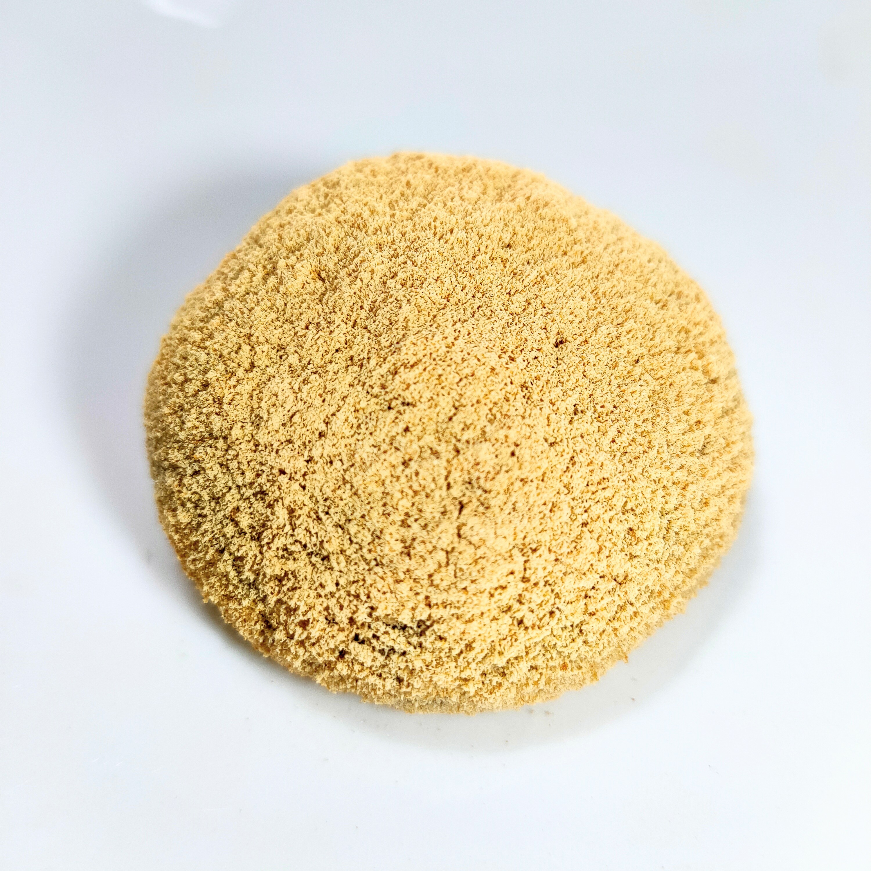 �u���֘A�摜�F�y2/14�z�a�َq�u���@���t