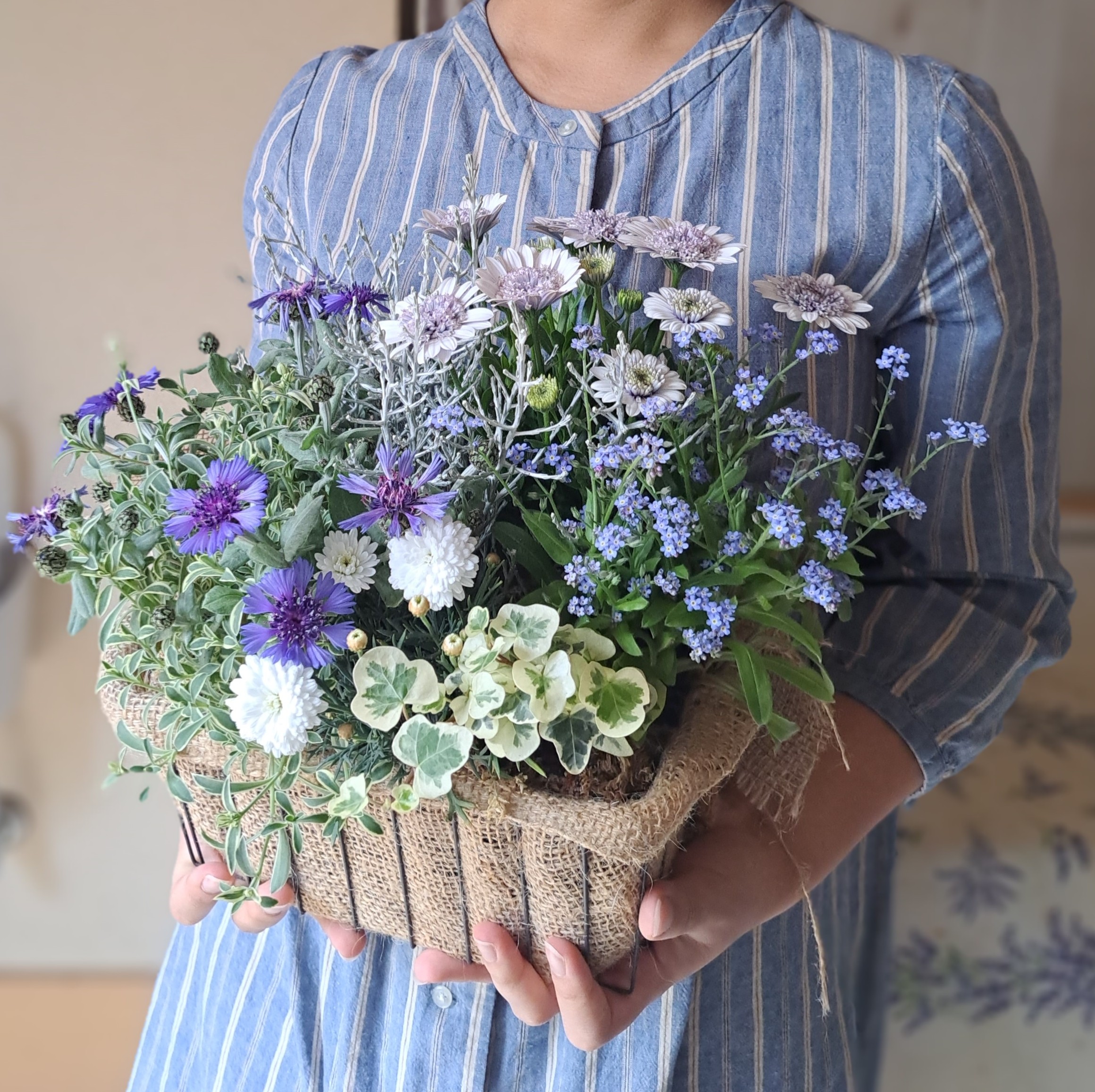 �u���֘A�摜�F�؂₩�񂹐A���u�v�����c�M���U�����O�v